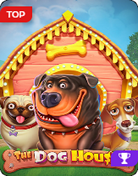 rainbet-the-dog-house